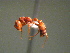  ( - MAS177-08)  @12 [ ] Unspecified (default): All Rights Reserved  Unspecified Unspecified