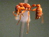  ( - MAS178-08)  @12 [ ] Unspecified (default): All Rights Reserved  Unspecified Unspecified
