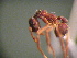 ( - MAS462-08)  @12 [ ] Unspecified (default): All Rights Reserved  Unspecified Unspecified