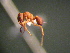  ( - MAS465-08)  @12 [ ] Unspecified (default): All Rights Reserved  Unspecified Unspecified