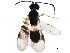  ( - DHJPAR0046029)  @12 [ ] CreativeCommons - Attribution (2018) CBG Photography Group Centre for Biodiversity Genomics
