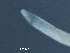  ( - DHJPAR0046193)  @11 [ ] CreativeCommons - Attribution (2019) CBG Photography Group Centre for Biodiversity Genomics