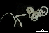  ( - DHJPAR0046207)  @11 [ ] CreativeCommons - Attribution (2019) CBG Photography Group Centre for Biodiversity Genomics