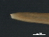  ( - DHJPAR0046219)  @11 [ ] CreativeCommons - Attribution (2019) CBG Photography Group Centre for Biodiversity Genomics