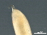  ( - DHJPAR0046219)  @11 [ ] CreativeCommons - Attribution (2019) CBG Photography Group Centre for Biodiversity Genomics