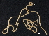  (Abathymermis - DHJPAR0046245)  @11 [ ] CreativeCommons - Attribution (2019) CBG Photography Group Centre for Biodiversity Genomics