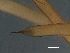  ( - DHJPAR0046266)  @11 [ ] CreativeCommons - Attribution (2019) CBG Photography Group Centre for Biodiversity Genomics