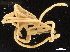  ( - DHJPAR0046382)  @11 [ ] CreativeCommons - Attribution (2019) CBG Photography Group Centre for Biodiversity Genomics