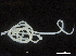  ( - DHJPAR0047348)  @11 [ ] CreativeCommons - Attribution (2019) CBG Photography Group Centre for Biodiversity Genomics