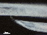  ( - DHJPAR0047355)  @11 [ ] CreativeCommons - Attribution (2019) CBG Photography Group Centre for Biodiversity Genomics