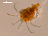  ( - 10PROBE-19289)  @14 [ ] CreativeCommons - Attribution (2010) CBG Photography Group Centre for Biodiversity Genomics