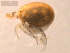  ( - 10PROBE-19746)  @13 [ ] CreativeCommons - Attribution (2010) CBG Photography Group Centre for Biodiversity Genomics