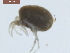  ( - 10PROBE-22626)  @13 [ ] CreativeCommons - Attribution (2010) CBG Photography Group Centre for Biodiversity Genomics