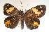  ( - MLIB-0019)  @11 [ ] CreativeCommons - Attribution (2010) Michel Libert Centre for Biodiversity Genomics