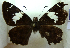  ( - MLIB-0261)  @12 [ ] CreativeCommons - Attribution (2010) Michel Libert Centre for Biodiversity Genomics