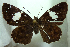  ( - MLIB-0281)  @11 [ ] CreativeCommons - Attribution (2010) Michel Libert Centre for Biodiversity Genomics