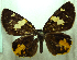  ( - MLIB-0418)  @11 [ ] CreativeCommons - Attribution (2010) Michel Libert Centre for Biodiversity Genomics