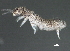  ( - EG11)  @14 [ ] CreativeCommons - Attribution (2011) CBG Photography Group Centre for Biodiversity Genomics