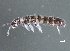  ( - VA05)  @14 [ ] CreativeCommons - Attribution (2011) CBG Photography Group Centre for Biodiversity Genomics