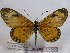  ( - BC-MNHNJP0430)  @12 [ ] Copyright (2010) Unspecified Museum National d`Histoire Naturelle, Paris