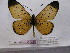 ( - BC-MNHNJP0449)  @13 [ ] Copyright (2010) Unspecified Museum National d`Histoire Naturelle, Paris