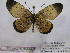  ( - BC-MNHNJP0450)  @11 [ ] Copyright (2010) Unspecified Museum National d`Histoire Naturelle, Paris