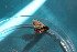  ( - 19325-49)  @12 [ ] CreativeCommons - Attribution Non-Commercial Share-Alike (2013) MA Stemele UFH