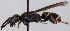  ( - FACU-000959)  @11 [ ] CreativeCommons - Attribution Non-Commercial (2012) Marko Mutanen University of Oulu