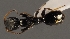 ( - GP.97411)  @13 [ ] CreativeCommons - Attribution Non-Commercial (2016) Marko Mutanen University of Oulu