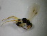  ( - bf-dry-00103)  @12 [ ] CreativeCommons - Attribution Non-Commercial Share-Alike (2015) Kjell Magne Olsen BioFokus