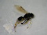  ( - bf-dry-00105)  @13 [ ] CreativeCommons - Attribution Non-Commercial Share-Alike (2015) Kjell Magne Olsen BioFokus
