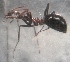 ( - AAI_39)  @13 [ ] Unspecified (default): All Rights Reserved  Unspecified Unspecified