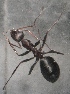  ( - AAI_40)  @13 [ ] Unspecified (default): All Rights Reserved  Unspecified Unspecified