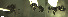  ( - 17S609)  @11 [ ] CreativeCommons  Attribution Non-Commercial Share-Alike (2020) S. Schär; M. Menchetti; E. Schifani Institut de Biologia Evolutiva (CSIC-UPF), Butterfly Diversity and Evolution Lab