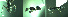  ( - 17S724)  @11 [ ] CreativeCommons  Attribution Non-Commercial Share-Alike (2020) S. Schär; M. Menchetti; E. Schifani Institut de Biologia Evolutiva (CSIC-UPF), Butterfly Diversity and Evolution Lab