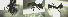  ( - 17S610)  @11 [ ] CreativeCommons  Attribution Non-Commercial Share-Alike (2020) S. Schär; M. Menchetti; E. Schifani Institut de Biologia Evolutiva (CSIC-UPF), Butterfly Diversity and Evolution Lab