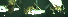  ( - 17S732)  @11 [ ] CreativeCommons  Attribution Non-Commercial Share-Alike (2020) S. Schär; M. Menchetti; E. Schifani Institut de Biologia Evolutiva (CSIC-UPF), Butterfly Diversity and Evolution Lab