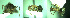  ( - 17S733)  @11 [ ] CreativeCommons  Attribution Non-Commercial Share-Alike (2020) S. Schär; M. Menchetti; E. Schifani Institut de Biologia Evolutiva (CSIC-UPF), Butterfly Diversity and Evolution Lab