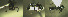  ( - 17S621)  @11 [ ] CreativeCommons  Attribution Non-Commercial Share-Alike (2020) S. Schär; M. Menchetti; E. Schifani Institut de Biologia Evolutiva (CSIC-UPF), Butterfly Diversity and Evolution Lab