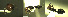  ( - 17S625)  @11 [ ] CreativeCommons  Attribution Non-Commercial Share-Alike (2020) S. Schär; M. Menchetti; E. Schifani Institut de Biologia Evolutiva (CSIC-UPF), Butterfly Diversity and Evolution Lab