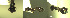  ( - 17S629)  @11 [ ] CreativeCommons  Attribution Non-Commercial Share-Alike (2020) S. Schär; M. Menchetti; E. Schifani Institut de Biologia Evolutiva (CSIC-UPF), Butterfly Diversity and Evolution Lab
