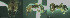 ( - 17S669)  @11 [ ] CreativeCommons  Attribution Non-Commercial Share-Alike (2020) S. Schär; M. Menchetti; E. Schifani Institut de Biologia Evolutiva (CSIC-UPF), Butterfly Diversity and Evolution Lab