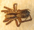  ( - CCDB-08105-B09)  @13 [ ] CreativeCommons - Attribution (2012) Arctic Ecology Course, University of Guelph Centre for Biodiversity Genomics