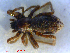  ( - CCDB-08105-C08)  @13 [ ] CreativeCommons - Attribution (2012) Arctic Ecology Course, University of Guelph Centre for Biodiversity Genomics