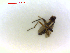  ( - CCDB-08107-A02)  @12 [ ] CreativeCommons - Attribution (2012) Arctic Ecology Course, University of Guelph Centre for Biodiversity Genomics