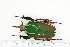  ( - BC-TB7202)  @13 [ ] Copyright (2010) Thierry Bouyer Research Collection of Philippe Leonard