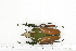  ( - BC-TB7204)  @13 [ ] Copyright (2010) Thierry Bouyer Research Collection of Philippe Leonard