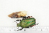  ( - BC-TB7258)  @13 [ ] Copyright (2010) Thierry Bouyer Research Collection of Philippe Leonard