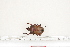  ( - BC-TB7291)  @12 [ ] Copyright (2010) Thierry Bouyer Research Collection of Philippe Leonard