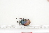  ( - BC-TB7292)  @13 [ ] Copyright (2010) Thierry Bouyer Research Collection of Philippe Leonard